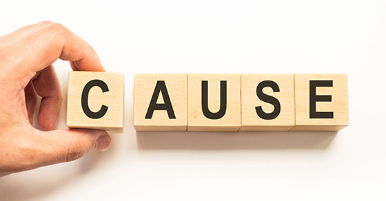 04_16_25_1816867598_ftp_560x292_1.jpg 04_16_25_1816867598_ftp_560x292_1.jpg