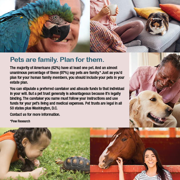 iff_pets_628x628.jpg